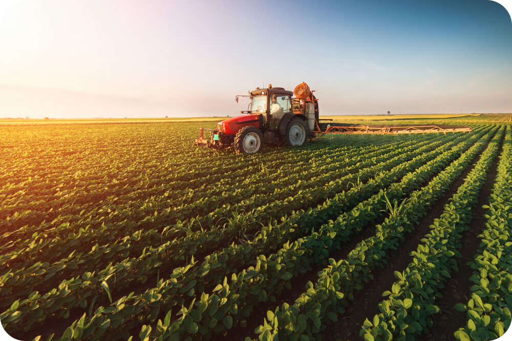 <strong>Yankel GmbH</strong> — Expert in International Agricultural Trade